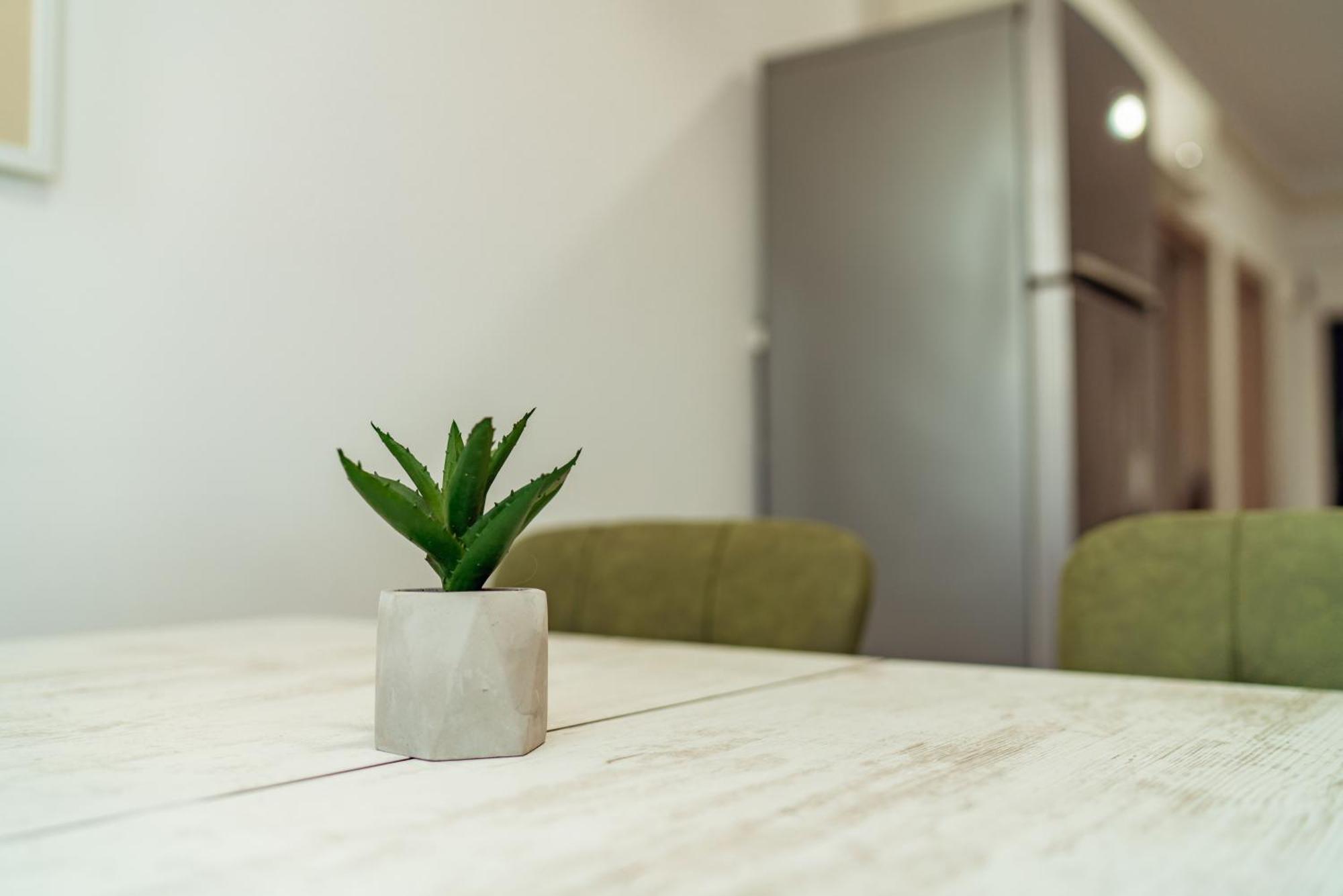 Cozy Apartments - One Residence ياش المظهر الخارجي الصورة